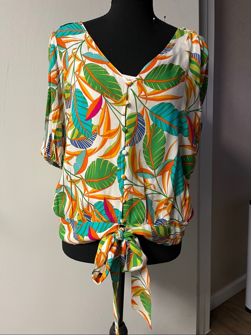 Rose & Olive blouse (goes great with the capri pants which are also in my posted